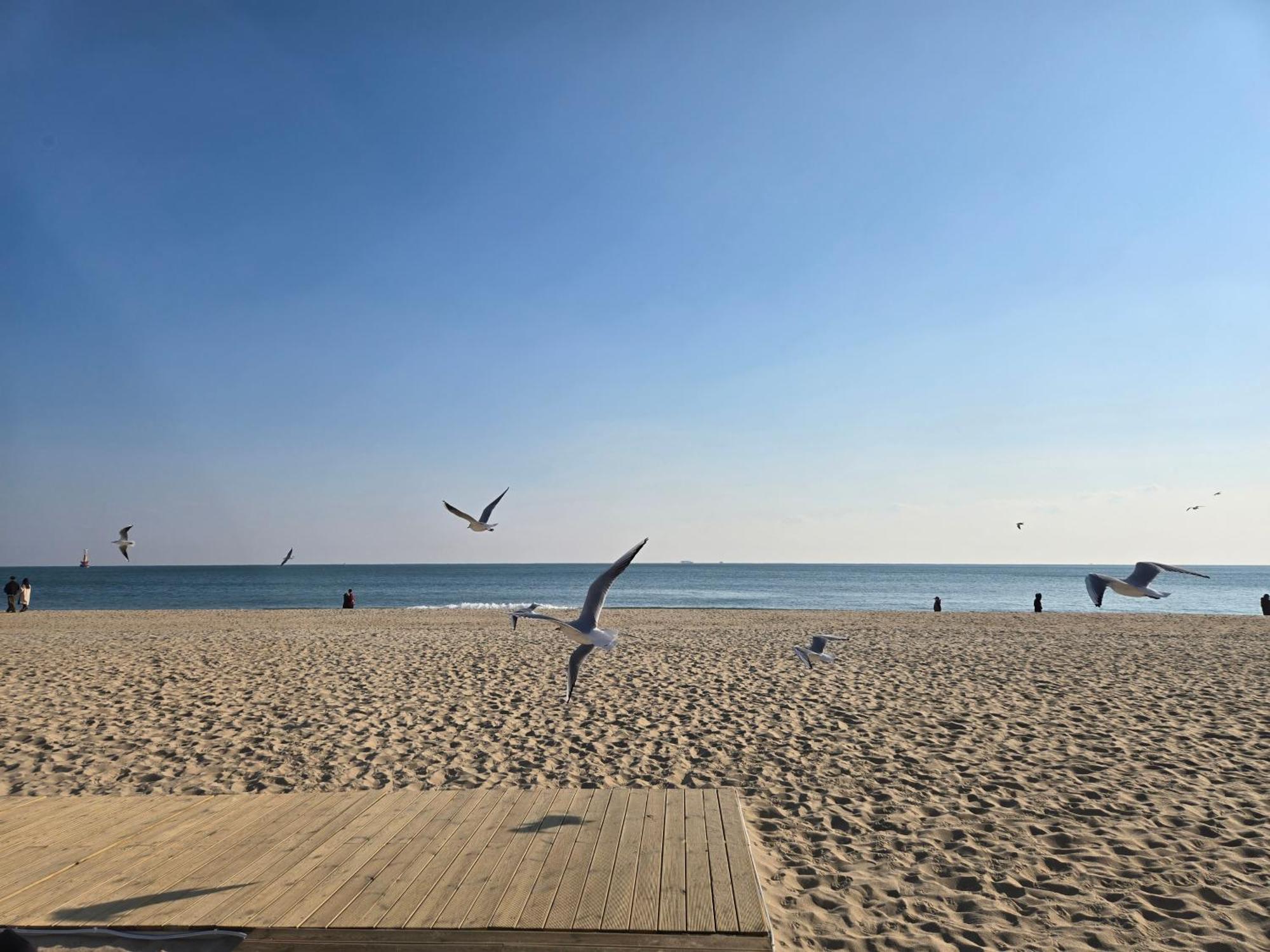 Hera Haeundae Beach Premium Ocean View # Sea View Busan Exteriör bild